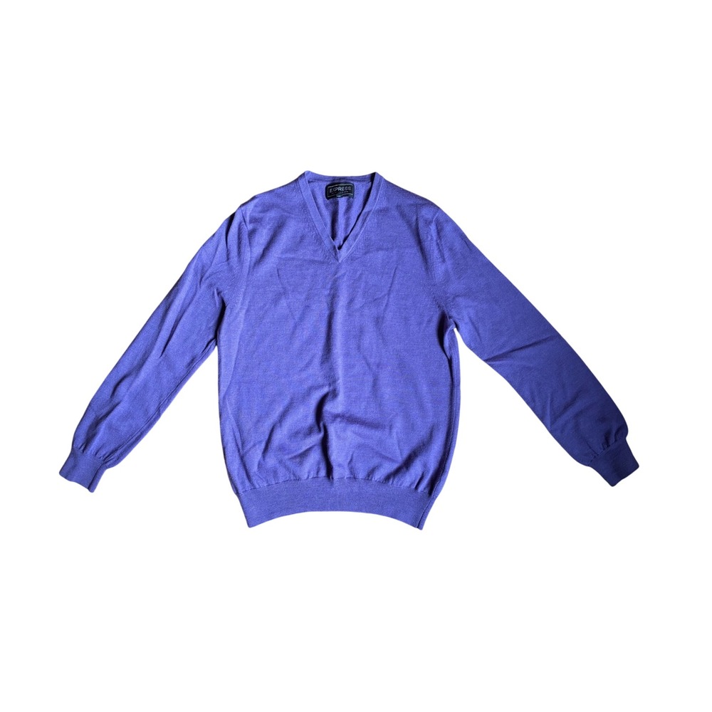 Express Mens Purple Italian Merino Wool V-Neck Sweater Pullover